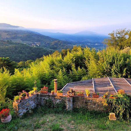 Agriturismo I Pitti Serravalle Pistoiese Екстер'єр фото