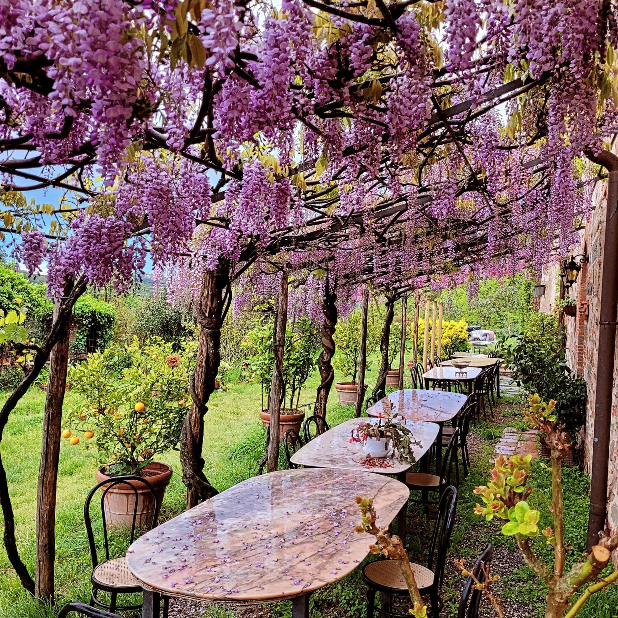 Agriturismo I Pitti Serravalle Pistoiese Екстер'єр фото