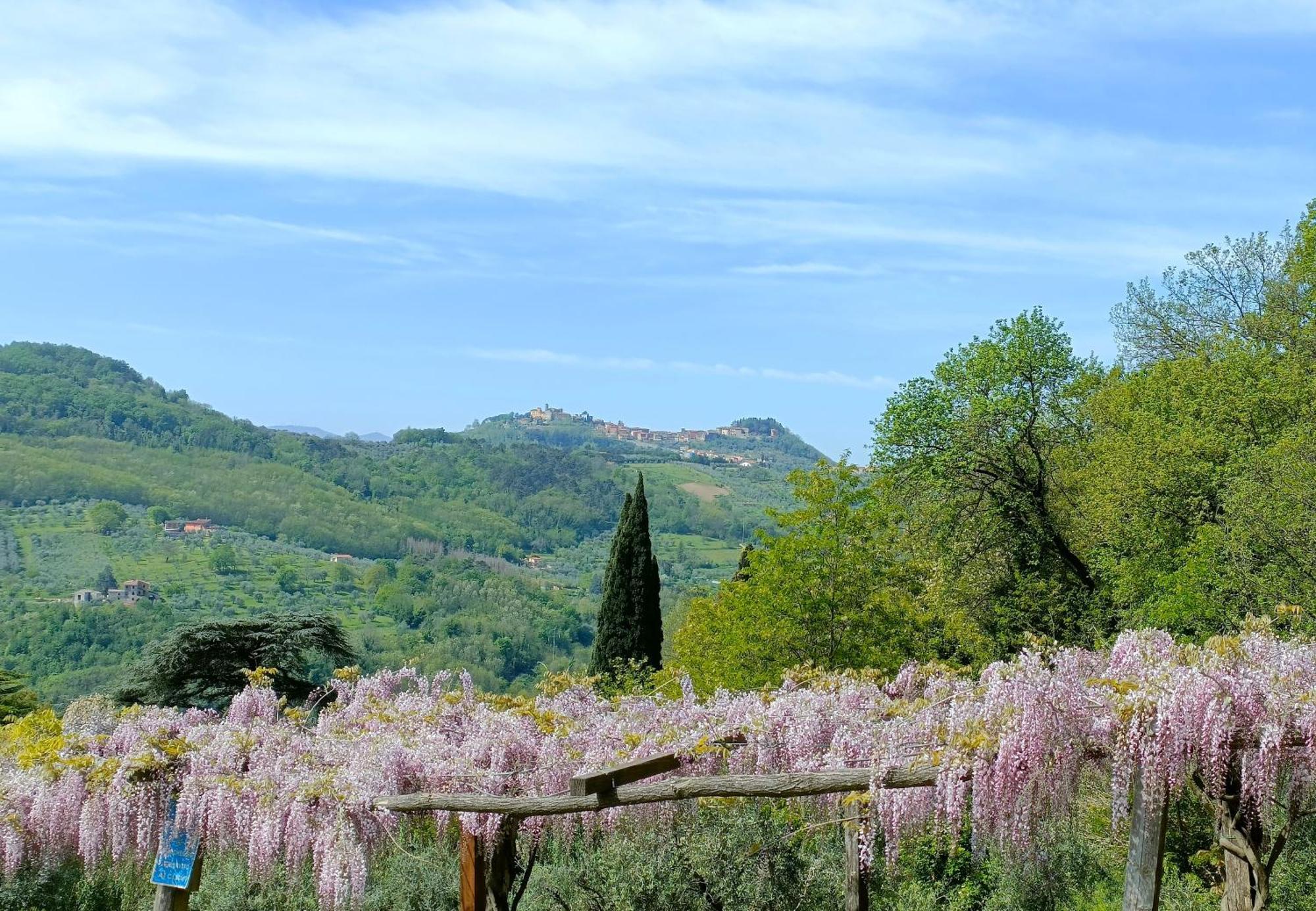 Agriturismo I Pitti Serravalle Pistoiese Екстер'єр фото